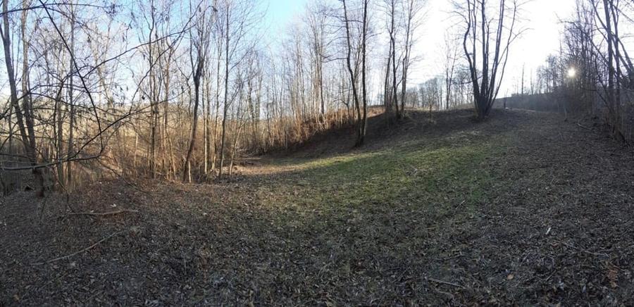 Teren de 4750 mp, în Provița de Sus