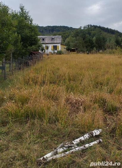 Casă cu 2 camere cu Teren 2700 Mp în Remeți