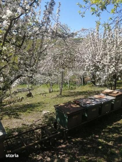 Casă cu 4 camere cu Teren 3200 Mp în Glodeni