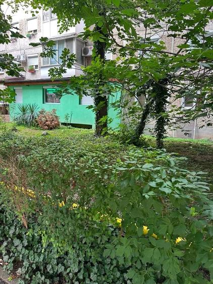 Apartament cu 3 camere în Dacia