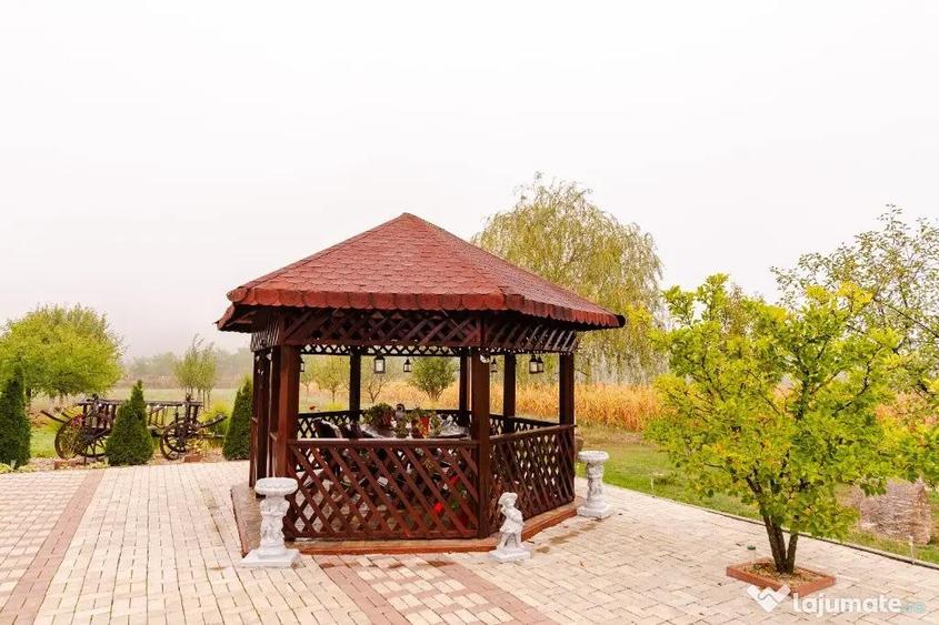 Casă cu 4 camere cu Teren 3200 Mp în Archiș