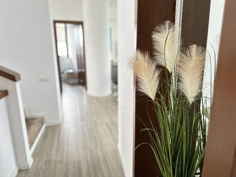 Casă cu 4 camere cu Teren 1500 Mp în Cisnădie
