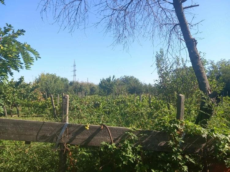 Casă cu Teren 8000 Mp în Central