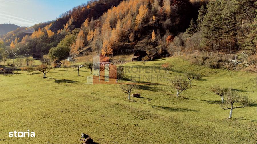 Teren de 8206 mp, în Moieciu