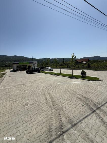 Teren de 13000 mp, în Bujoreni