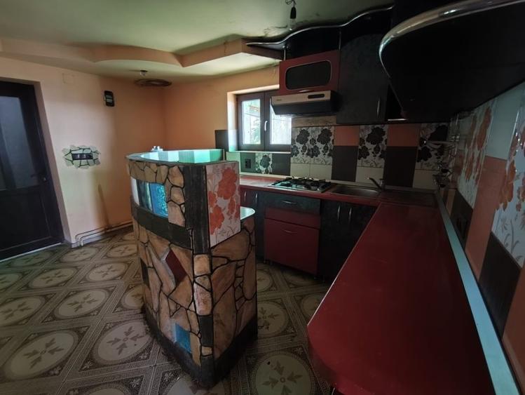 Casă cu 3 camere cu Teren 5000 Mp în Valea Crișului