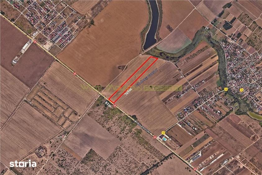 Teren de 60000 mp, în Frumușani