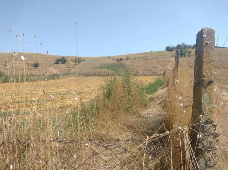 Teren Construcții intravilan de 2000 mp, în Goruni