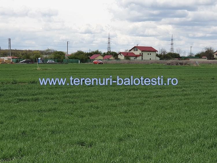 Teren langa padure si aproape utilitati,800 mp,36000 euro - 7
