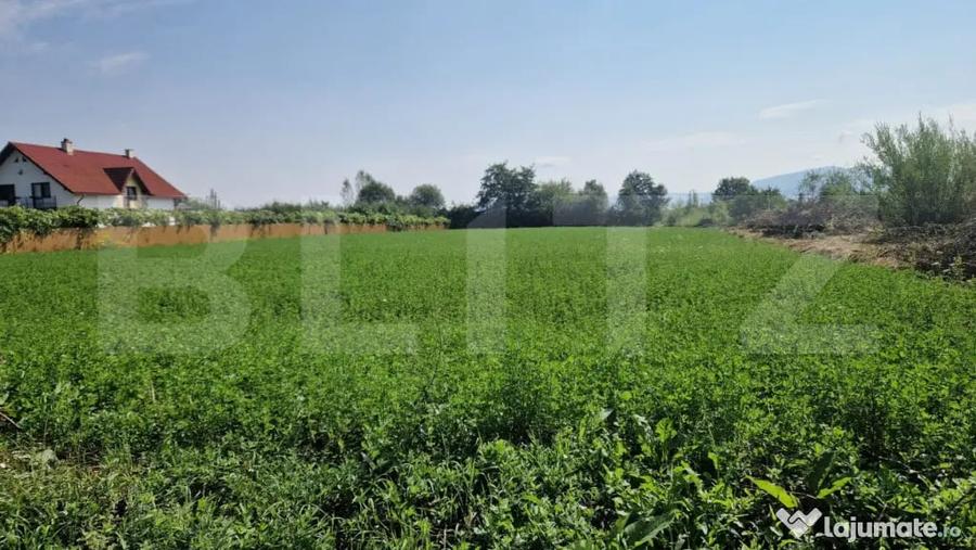 Teren intravilan 3800 m Posibilitate afacere sau casa de loc - 4