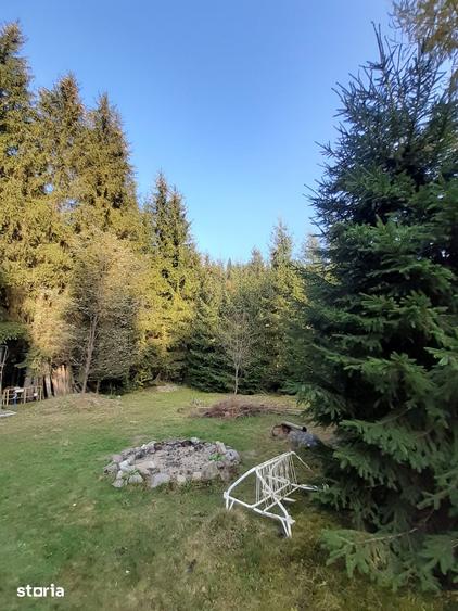 Teren de 1600 mp, în Arieșeni
