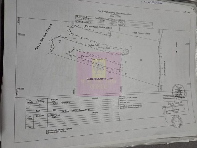 Teren agricol extravilan de 94000 mp, în Albota