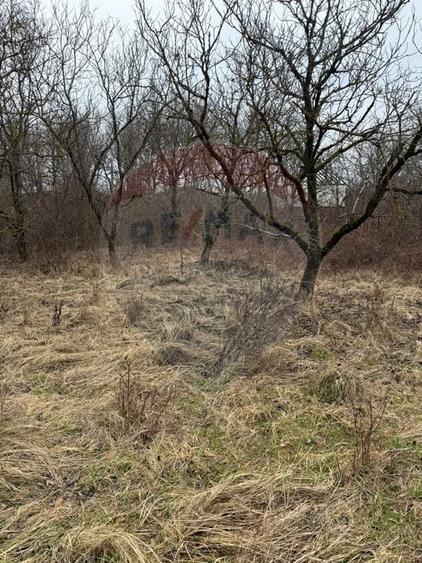 Teren agricol extravilan de 2900 mp, în Independenței