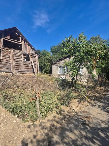 Teren de 3500 mp, în Păuliș