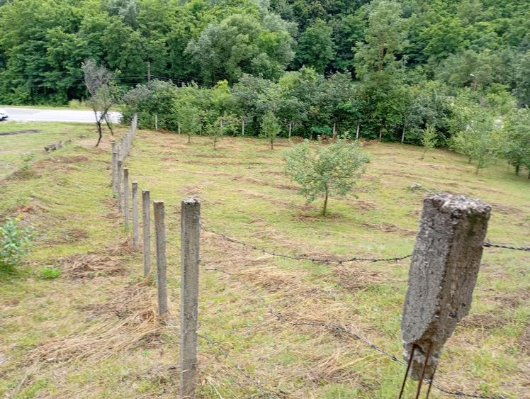 Teren agricol extravilan de 1953 mp, în Livezile