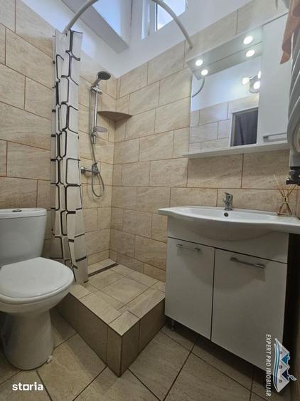 Gara de Nord Str. Vespasian Utilat Mobilat Centrala Proprie In Vila - 5