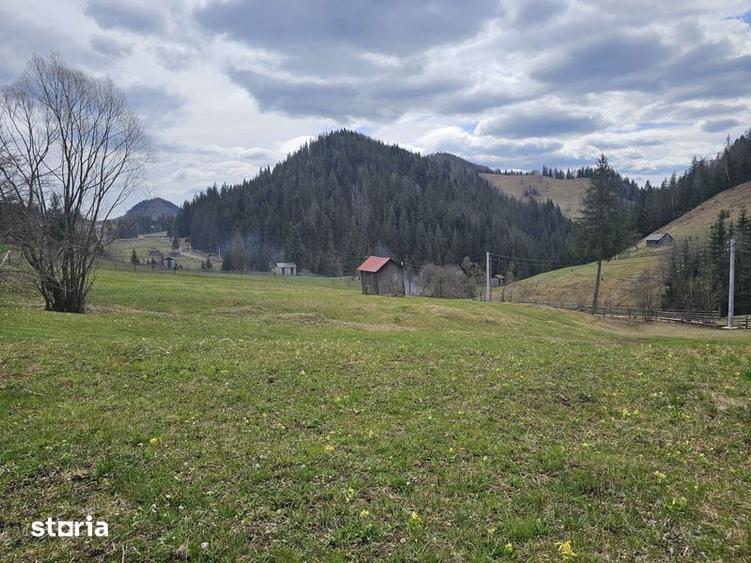 Teren de vanzare in Bucovina Fundu Moldovei - 3