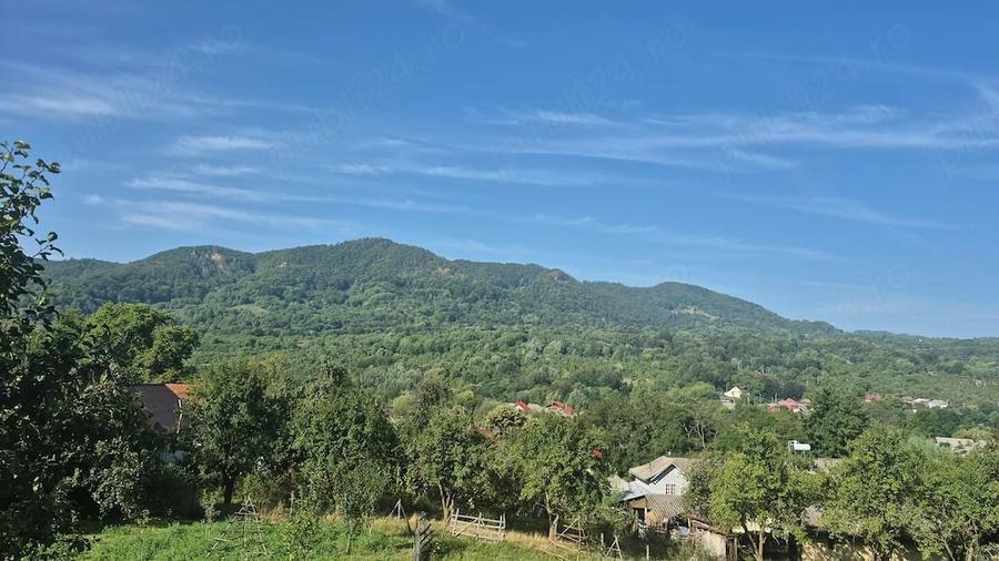 Teren de 6563 mp, în Corbșori