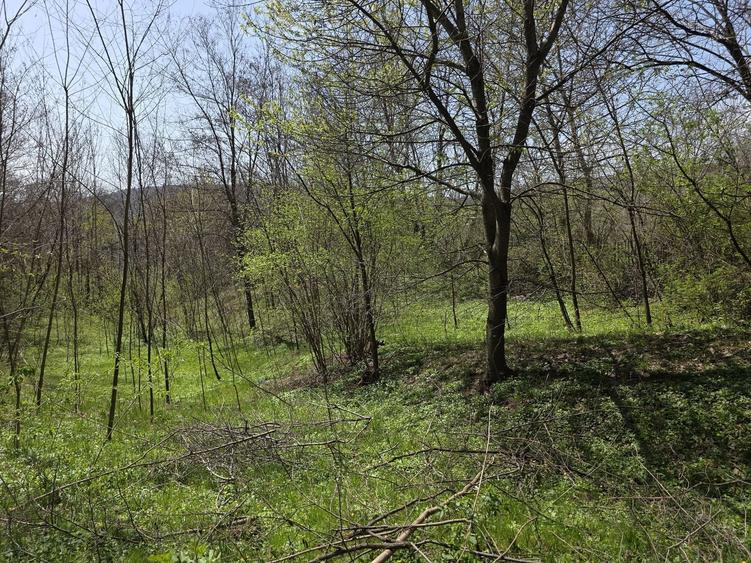Teren agricol intravilan de 2070 mp, în Brebu