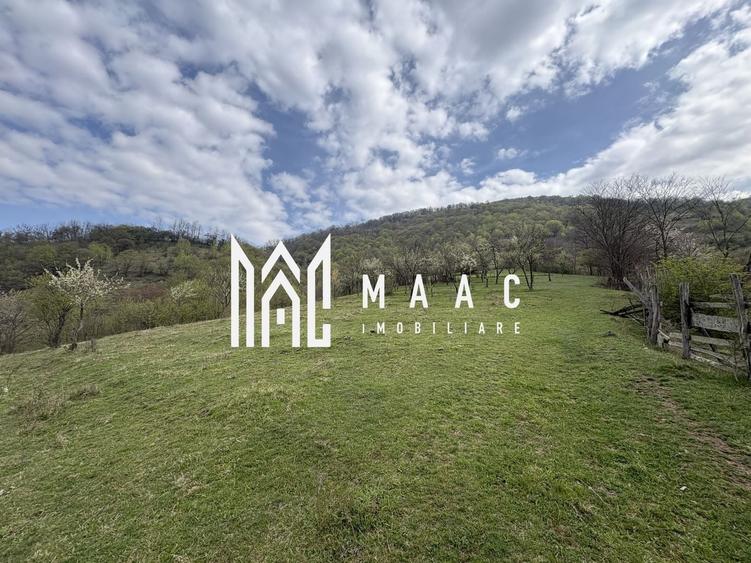 Teren agricol extravilan de 7750 mp, în Câinenii Mici
