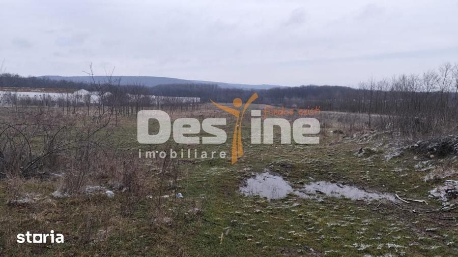 Teren de 7500 mp, în Scorțeni