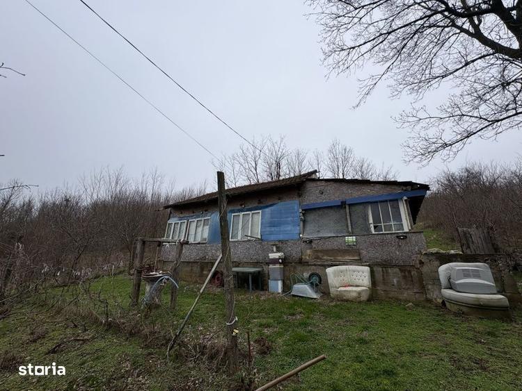 Spațiu comercial, în Luncșoru