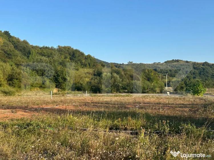 Teren de 5800 mp, în Tărlungeni