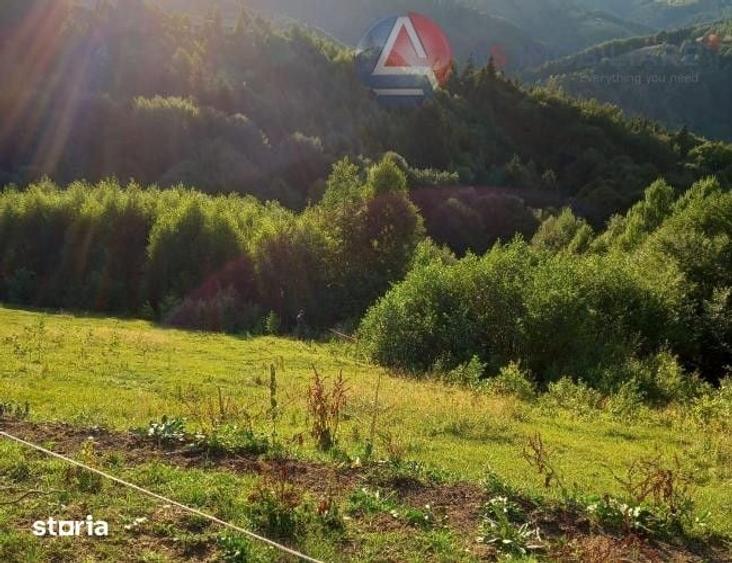 Teren de 10669 mp, în Moieciu