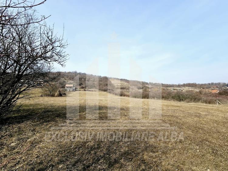 Teren Construcții intravilan de 14000 mp, în Est
