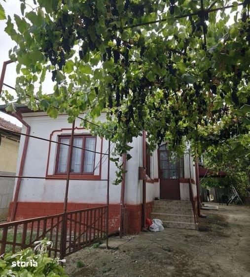 Vand casa in comuna Scaiesti ,Dolj - 6