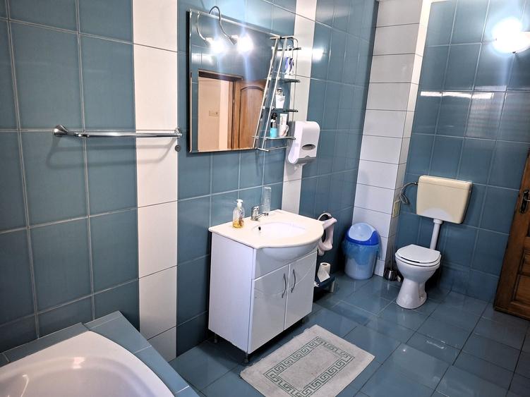 Casă individuală cu 10 camere cu Garaj în Doamna Ghica