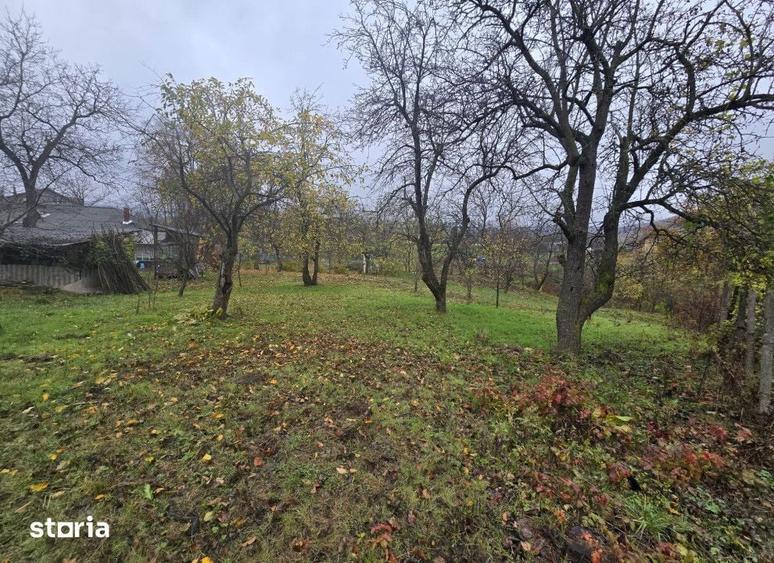 Teren de 1000 mp, în Tomești