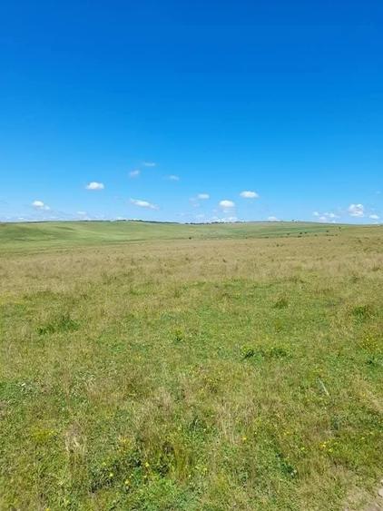 Teren de 3600 mp, în Ideciu de Jos