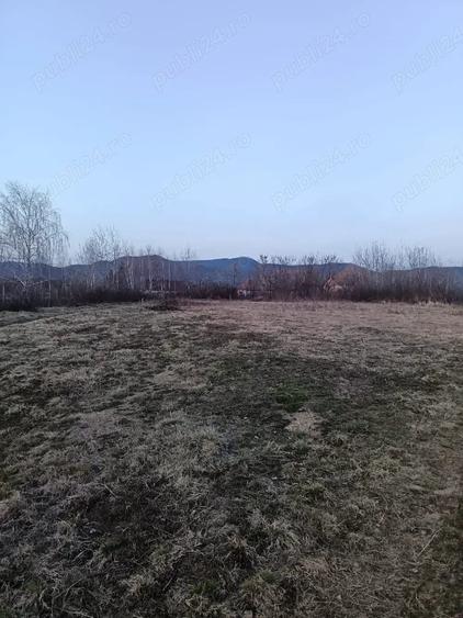 Teren de 10000 mp, în Merișor