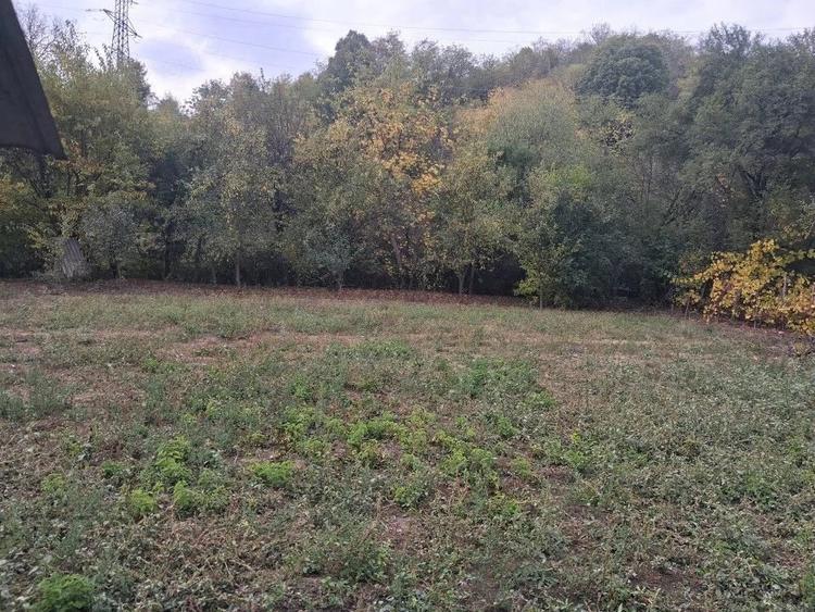 Casă cu 4 camere cu Teren 3116 Mp în Boroșteni