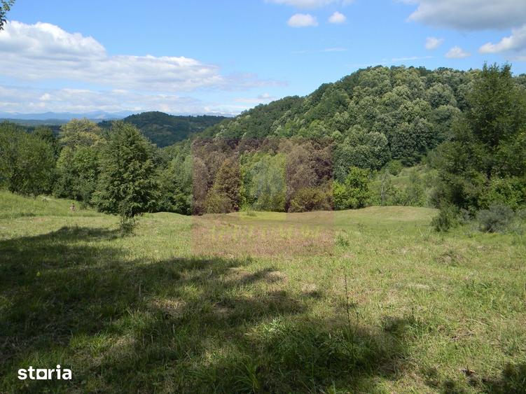 Teren de 3092 mp, în Scorțeni