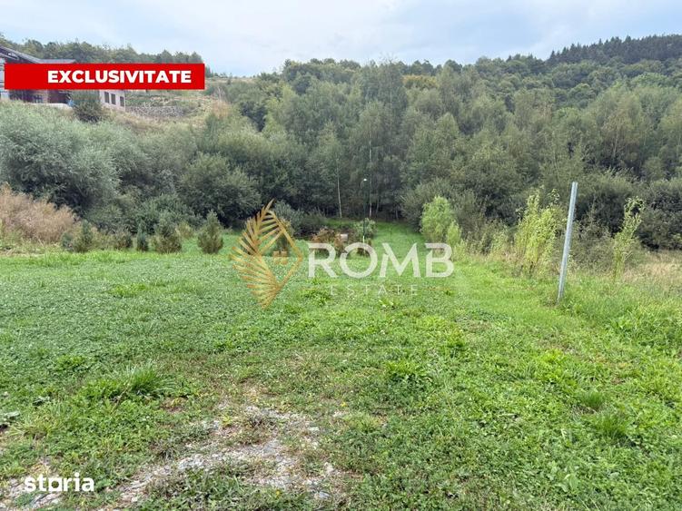 Teren de 971 mp, în Ciurila