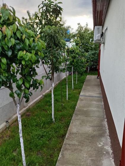 Casă cu 4 camere în Afumați