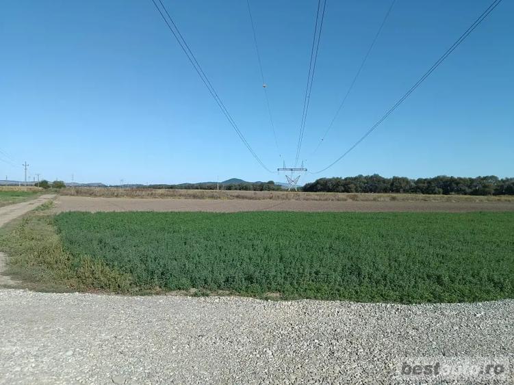 Teren de 401 mp, în Central