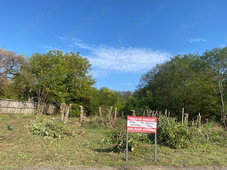 Teren de 7000 mp, în Drăgoești