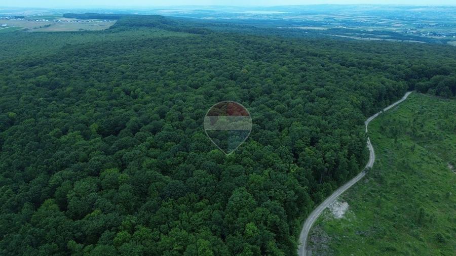 Teren agricol extravilan de 95000 mp, în Șerbăuți