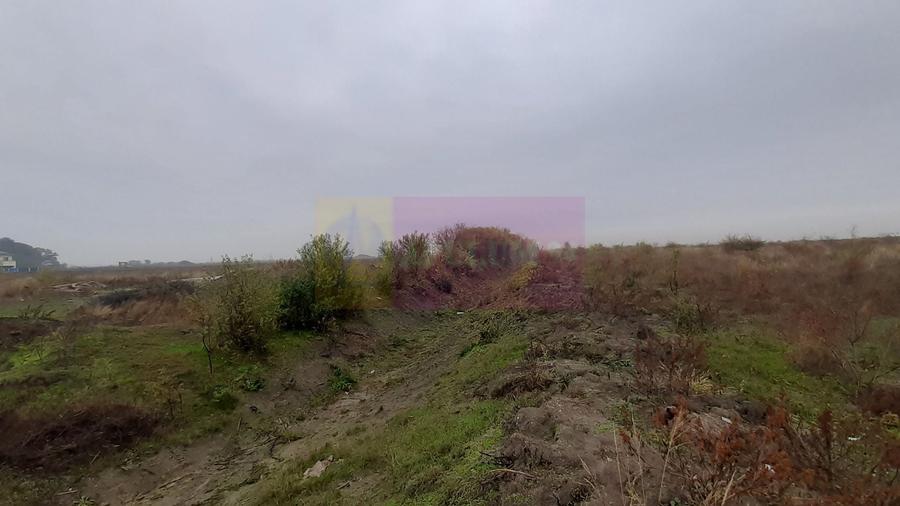 Teren agricol extravilan de 5000 mp, în Corbeanca