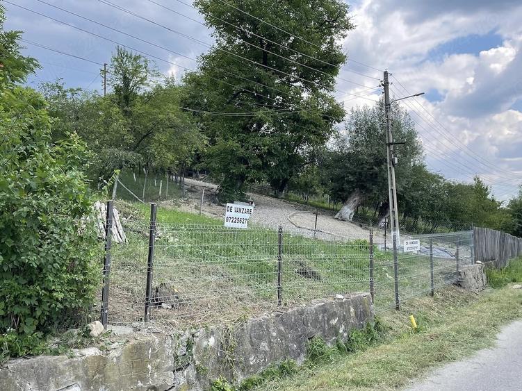 Teren de 4160 mp, în Provița de Sus