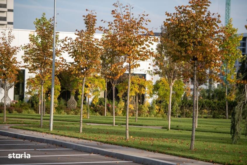 Apartament cu 3 camere în Militari