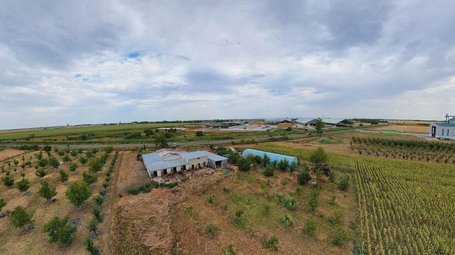 Teren de 36000 mp, în Iratoșu