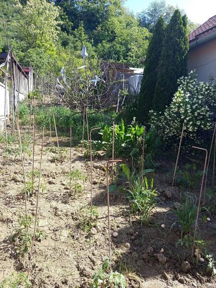 Casă cu 3 camere cu Teren 15 Mp în Viișoara