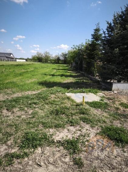 Teren agricol intravilan de 1198 mp, în Tărian