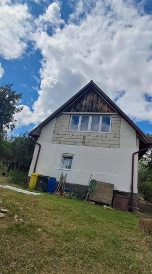 Vind casa cu etaj la Borsa de Cluj - 3