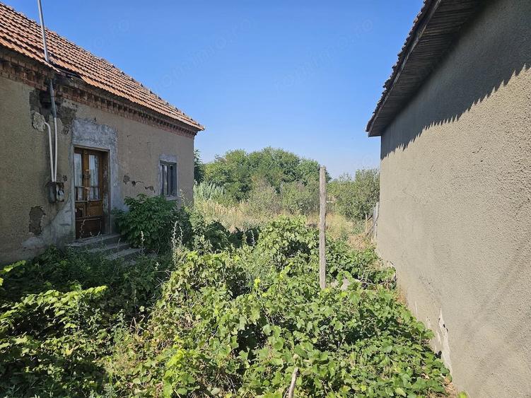 Casă cu Teren 550 Mp în Ciupercenii Noi