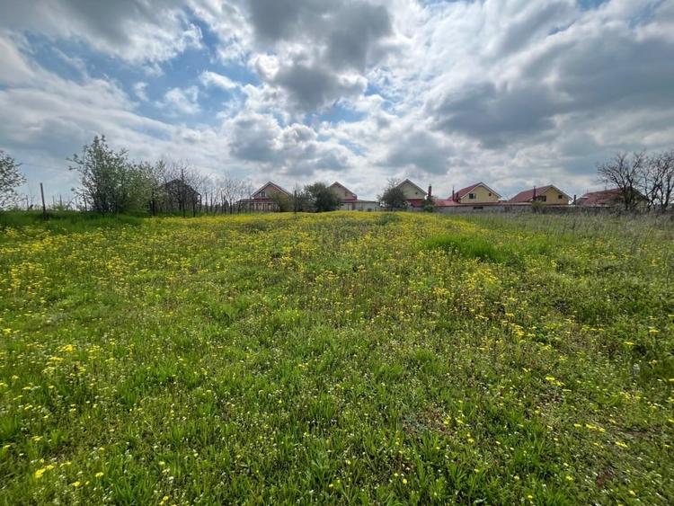 Teren Construcții intravilan de 2117 mp, în Malu Mare